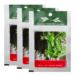 بذر خیار بوته ای وانیا سید کد K11 مجموعه 3 عددی