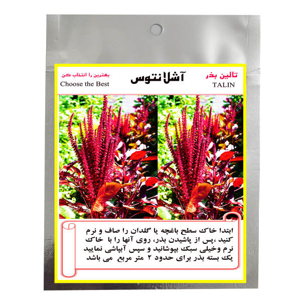 بذر گل آشلانتوس تالین بذر مدل BZT-1013 بذر گل آشلانتوس تالین بذر مدل BZT-1013