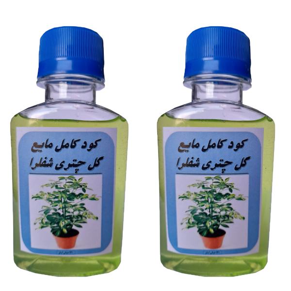 کود کامل مایع مخصوص گیاه چتری شفلرا مدل GL2 حجم 240 میلی لیتر بسته دو عددی کود کامل مایع مخصوص گیاه چتری شفلرا مدل GL2 حجم 240 میلی لیتر بسته دو عددی