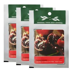 بذر بنسای انار وانیا سید کد D53 مجموعه 3 عددی