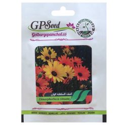 بذر گل آصف السلطنه الوان گلبرگ پامچال کد GPF-228