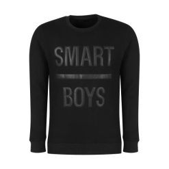 سویشرت مردانه باینت کد 614-1