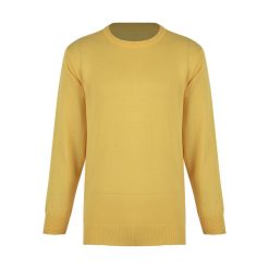 پلیور مردانه سیدونا مدل MSI2034-003