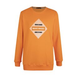 سویشرت مردانه باینت مدل 2261651-23