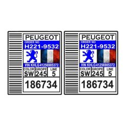 برچسب بدنه خودرو طرح لچکی کد 135AZ 01 مناسب برای پژو بسته دو عددیغیر اصل