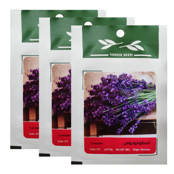 بذر گیاه دارویی اسطوخودوس وانیا سید کد X11 مجموعه 3 عددی بذر گیاه دارویی اسطوخودوس وانیا سید کد X11 مجموعه 3 عددی