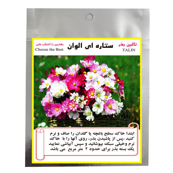 بذر گل ستاره ای الوان تالین بذر مدل BZT-1014 بذر گل ستاره ای الوان تالین بذر مدل BZT-1014