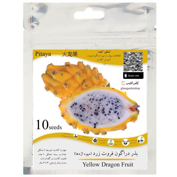 بذر دراگون فروت زرد میوه اژدها مدل GL10 بذر دراگون فروت زرد میوه اژدها مدل GL10