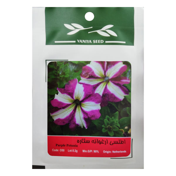 بذر گل اطلسی ارغوانه ستاره وانیا سید مدل O50 بذر گل اطلسی ارغوانه ستاره وانیا سید مدل O50