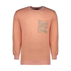 سویشرت مردانه زی سا مدل 153140180