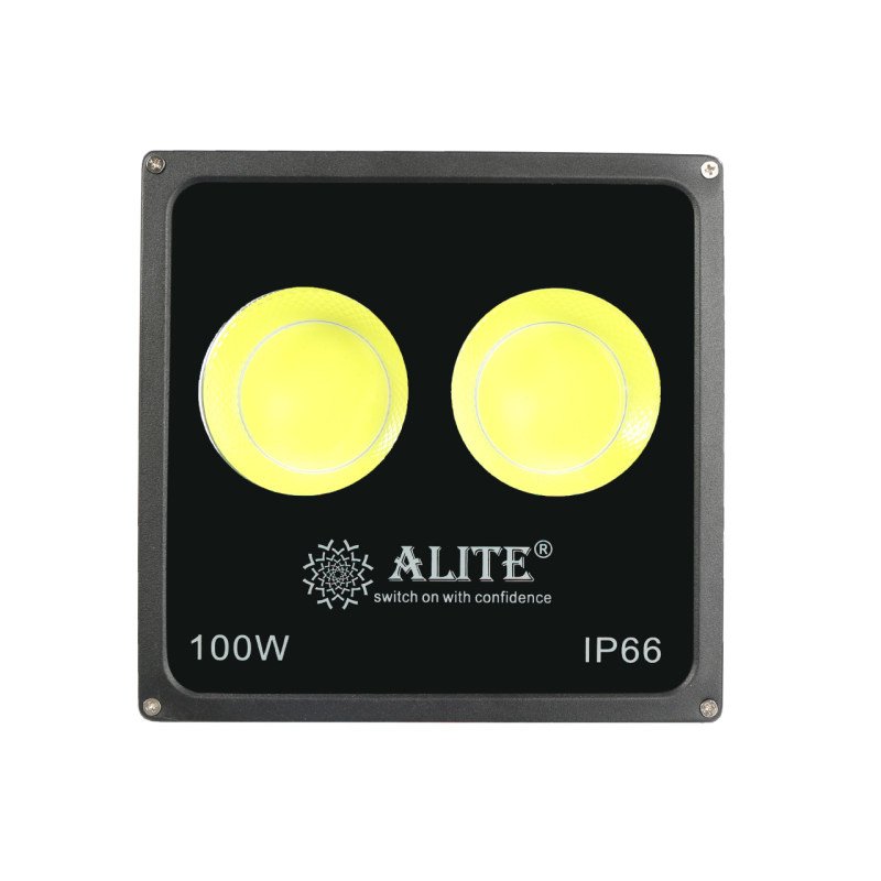 پرژکتور 100 وات الیت مدل 001 پرژکتور 100 وات الیت مدل 001
