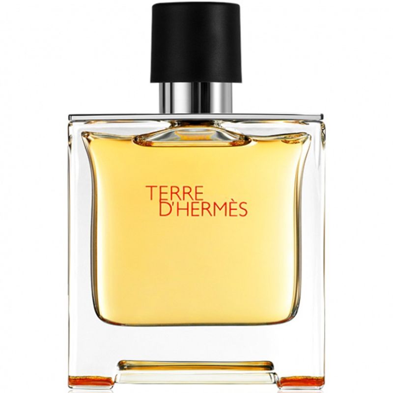 پرفیوم مردانه هرمس مدل Terre dHermes حجم 75 میلی لیتر پرفیوم مردانه هرمس مدل Terre dHermes حجم 75 میلی لیتر
