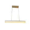 چراغ آویز چشمه نور کد A6315/1H-G چراغ آویز چشمه نور کد A6315/1H-G
