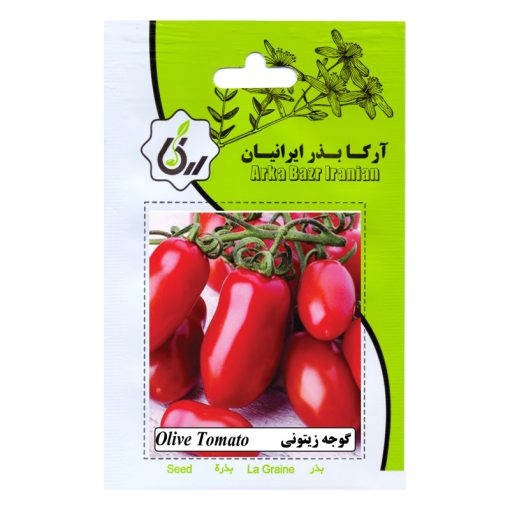 بذر گوجه زیتونی آرکا بذر ایرانیان کد ARK-153