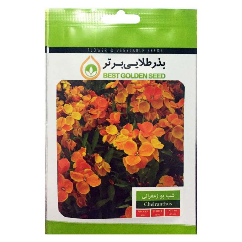 بذر گل شب بو زعفرانی بذر طلایی برتر کد BZT-22 بذر گل شب بو زعفرانی بذر طلایی برتر کد BZT-22
