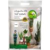 گیاه طبیعی کاکتوس و ساکولنت آیدین کاکتوس کد CB-009 بسته 12 عددی گیاه طبیعی کاکتوس و ساکولنت آیدین کاکتوس کد CB-009 بسته 12 عددی