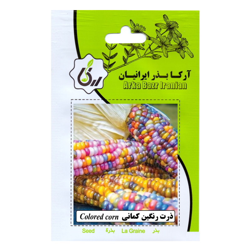 بذر ذرت رنگین کمانی آرکا بذر ایرانیان کد ARK-142 بذر ذرت رنگین کمانی آرکا بذر ایرانیان کد ARK-142