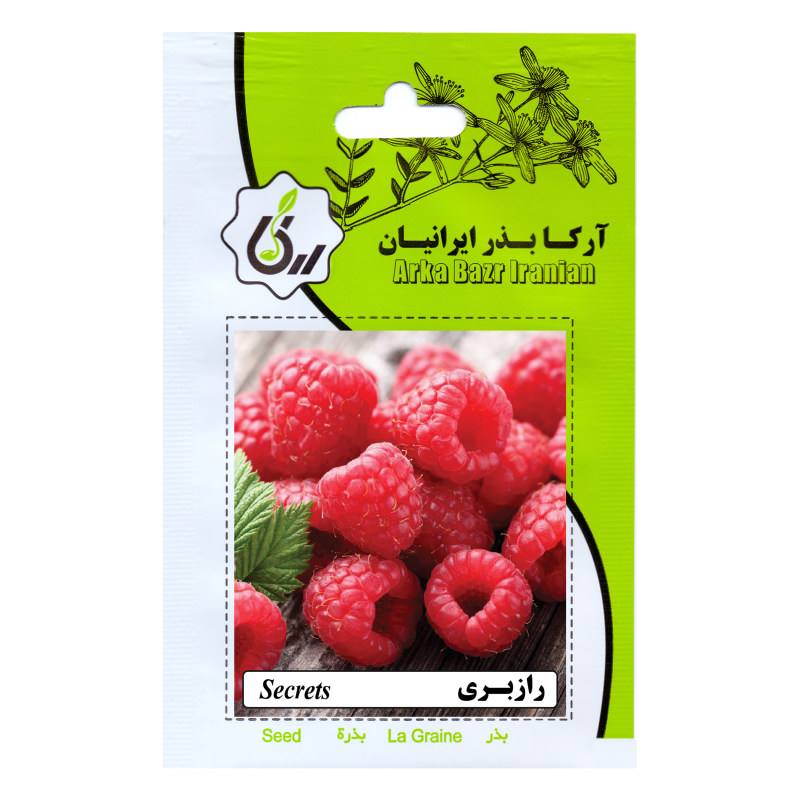 بذر میوه رازبری آرکا بذر ایرانیان کد 38-ARK بذر میوه رازبری آرکا بذر ایرانیان کد 38-ARK