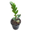 سمپاش شارژی ای ار اس مدل _18DP