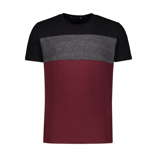 تی شرت مردانه باینت مدل 2261486-99