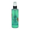 عطر جیبی مردانه بیک شماره 2 حجم 7.5 میلی لیتر