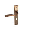 دستگیره در تانوس کد YP-APARTMAN-LEFT مجموعه 2 عددی دستگیره در تانوس کد YP-APARTMAN-LEFT مجموعه 2 عددی