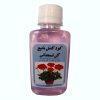 گیاه طبیعی ساکولنت آیدین کاکتوس کد CB-003 بسته 12 عددی